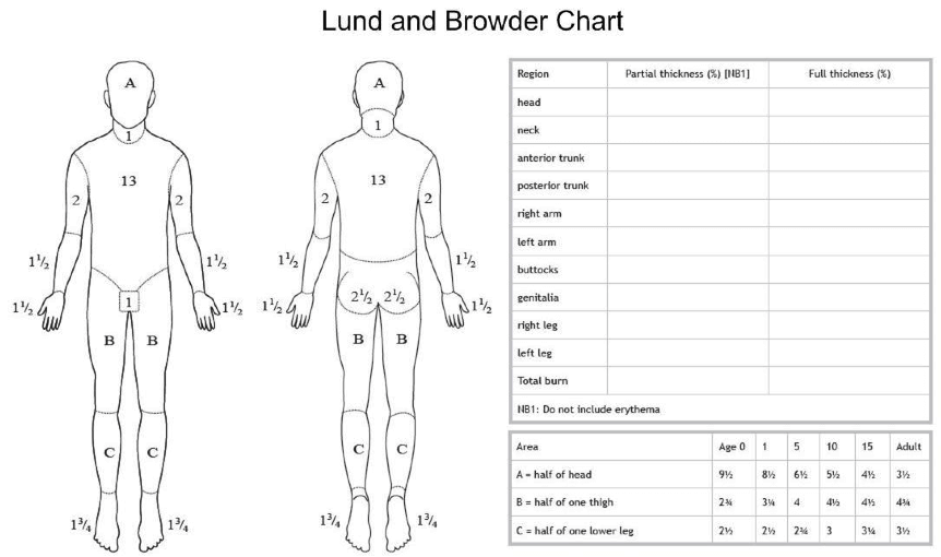 Emergency Medical Responder Course Lund and Browder Burn Chart MEDI